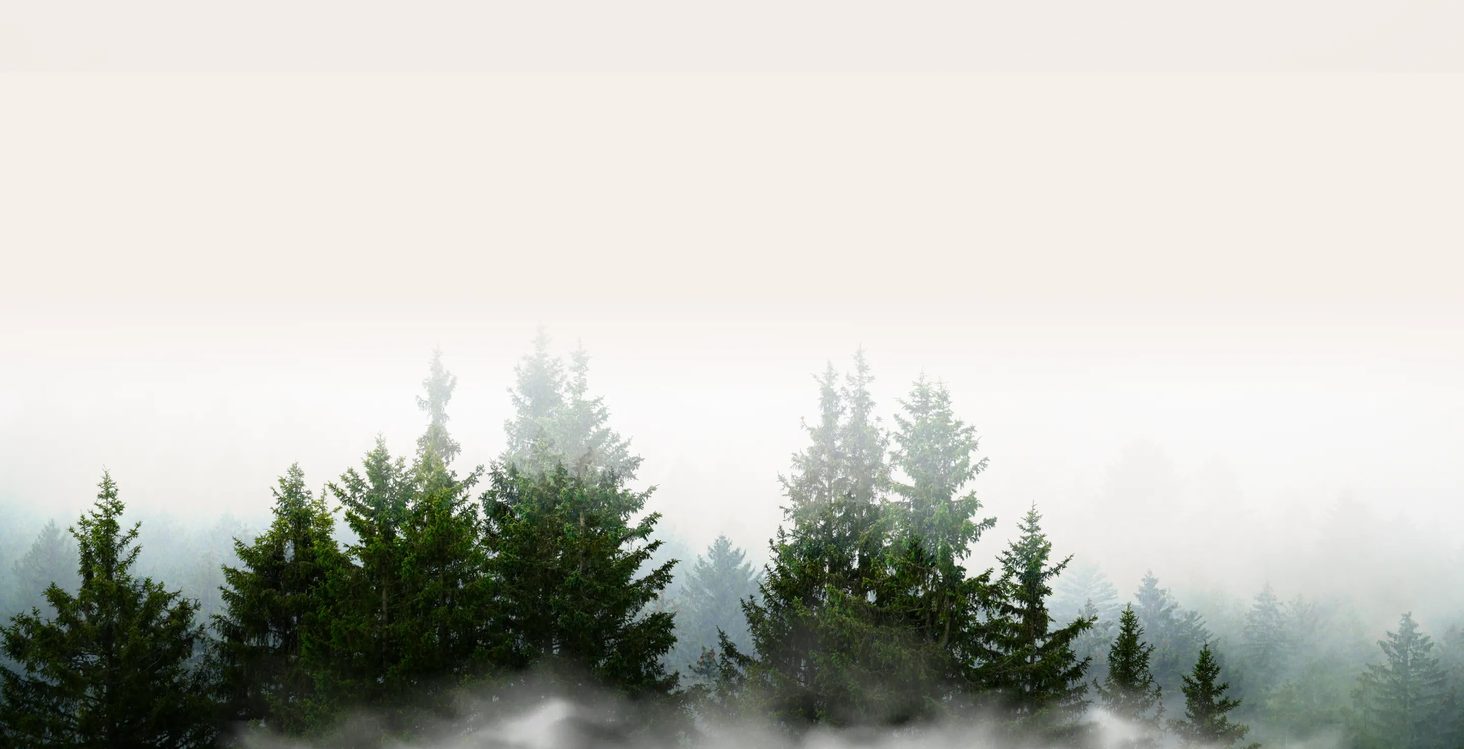 明大國際貿易股份有限公司