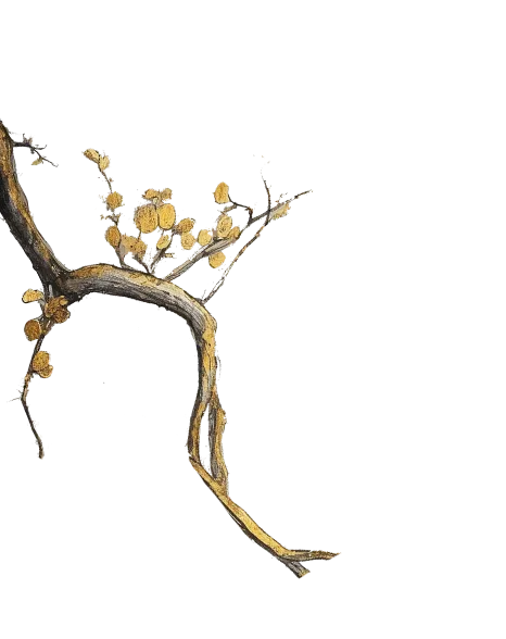 明大國際貿易股份有限公司