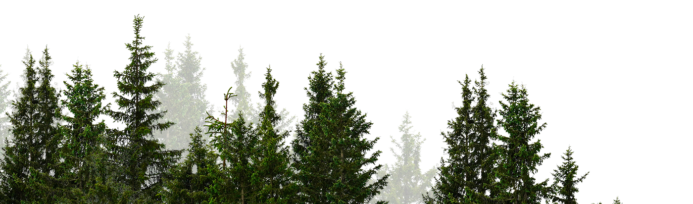 明大國際貿易股份有限公司