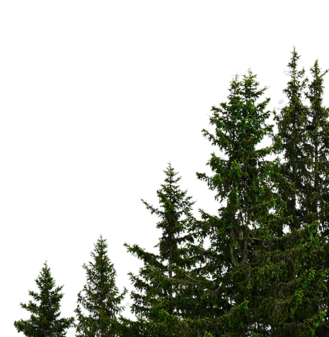 明大國際貿易股份有限公司