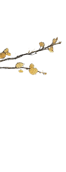 明大國際貿易股份有限公司