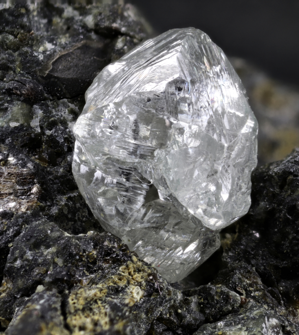 明大國際貿易股份有限公司