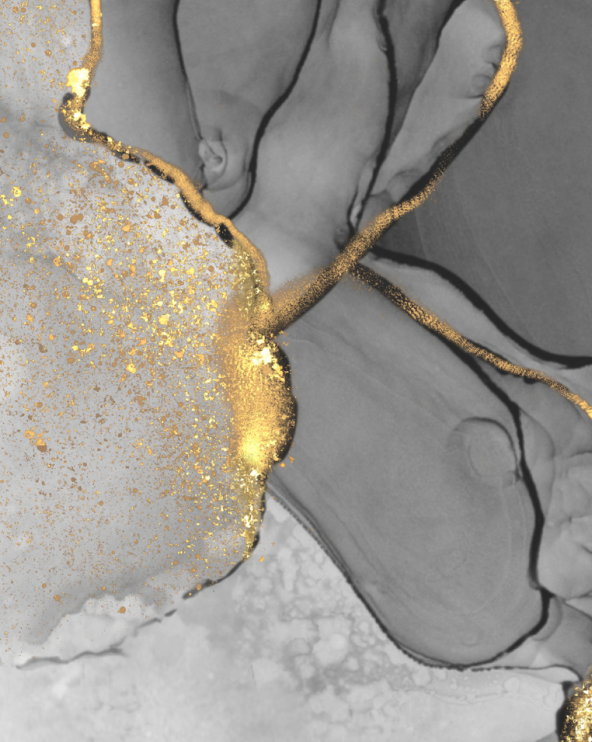 明大國際貿易股份有限公司