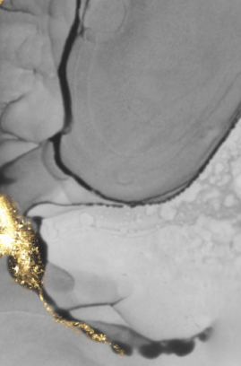 明大國際貿易股份有限公司